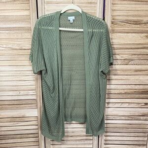 Kim Rogers Sage Open Knit Short Sleeve Sweater Size 1x